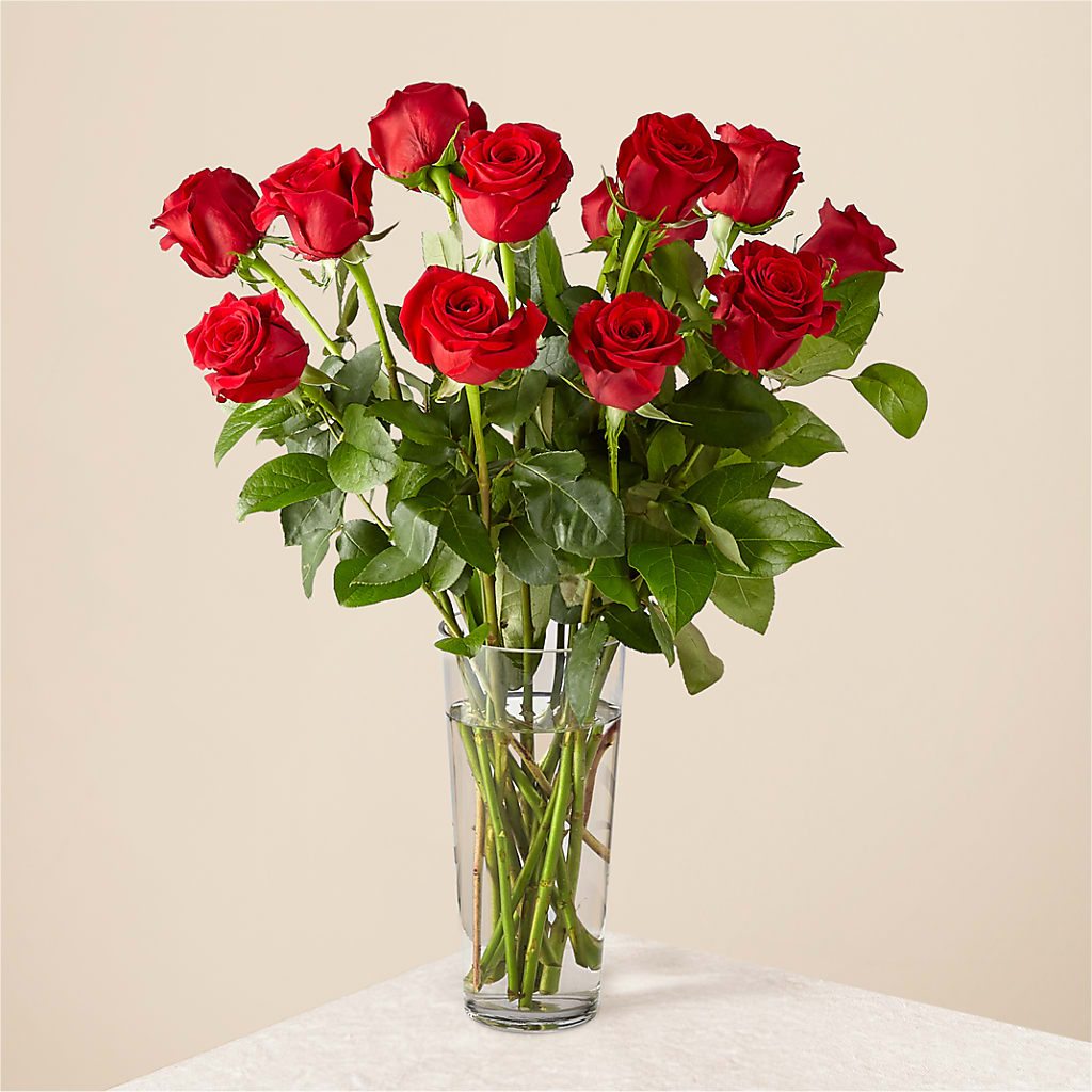 Long Stem Red Rose Bouquet – Green Leaf, West Springfield MA