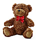 Adorable Plush Bear – Green Leaf, West Springfield MA