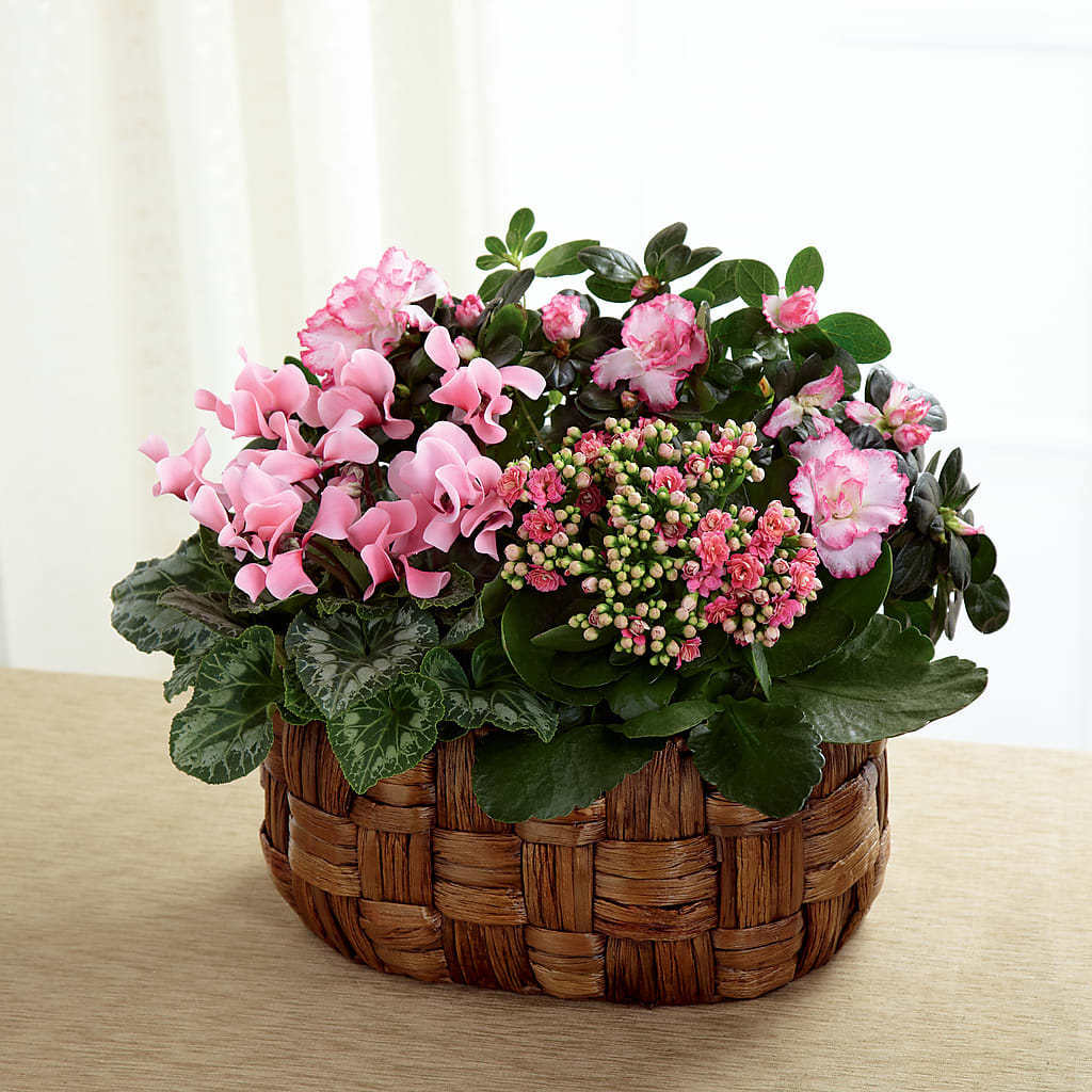 Pink Assortment – Green Leaf, West Springfield MA