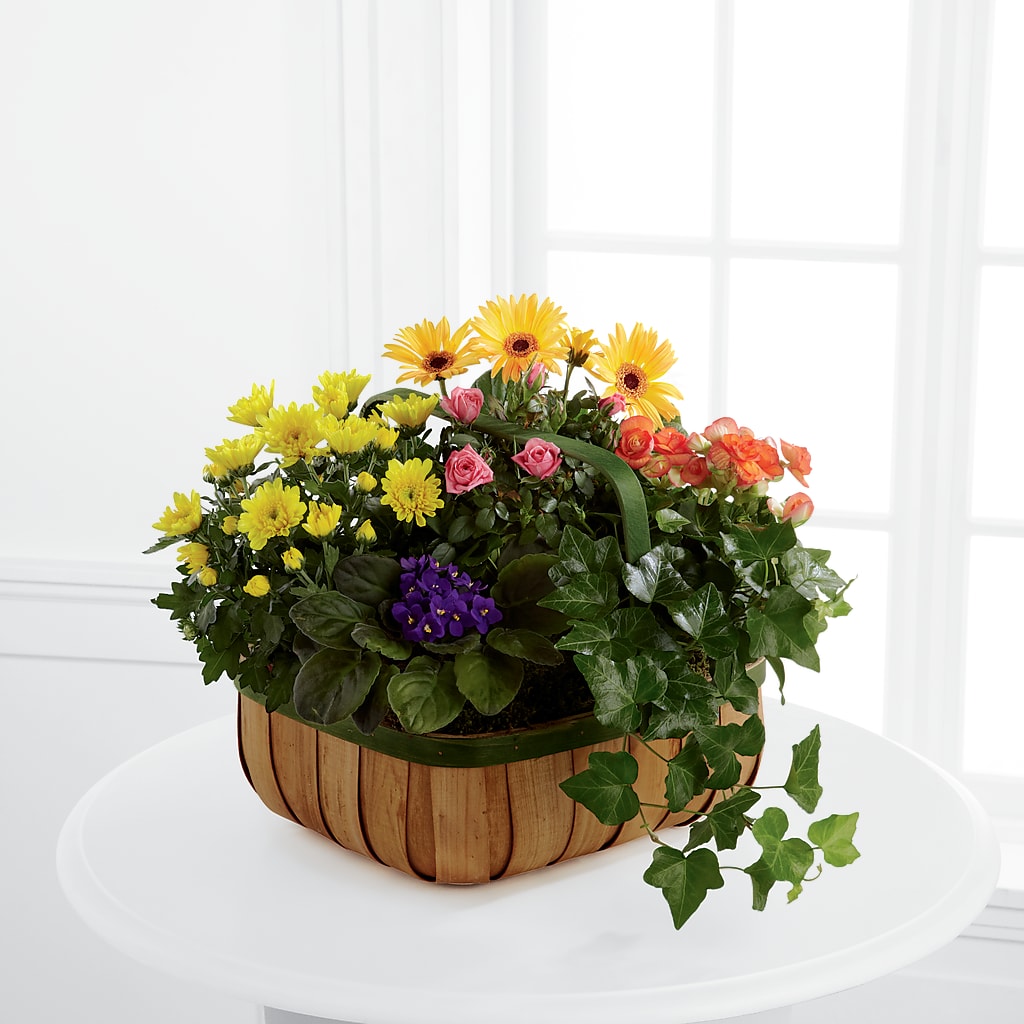 Gentle Blossoms Basket – Green Leaf, West Springfield MA