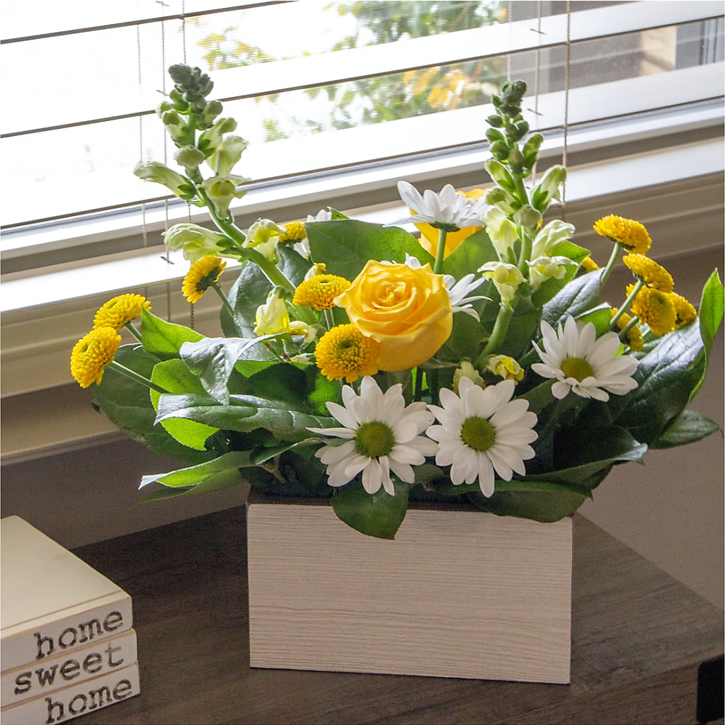 Sun Salutation Box Bouquet – Green Leaf, West Springfield MA