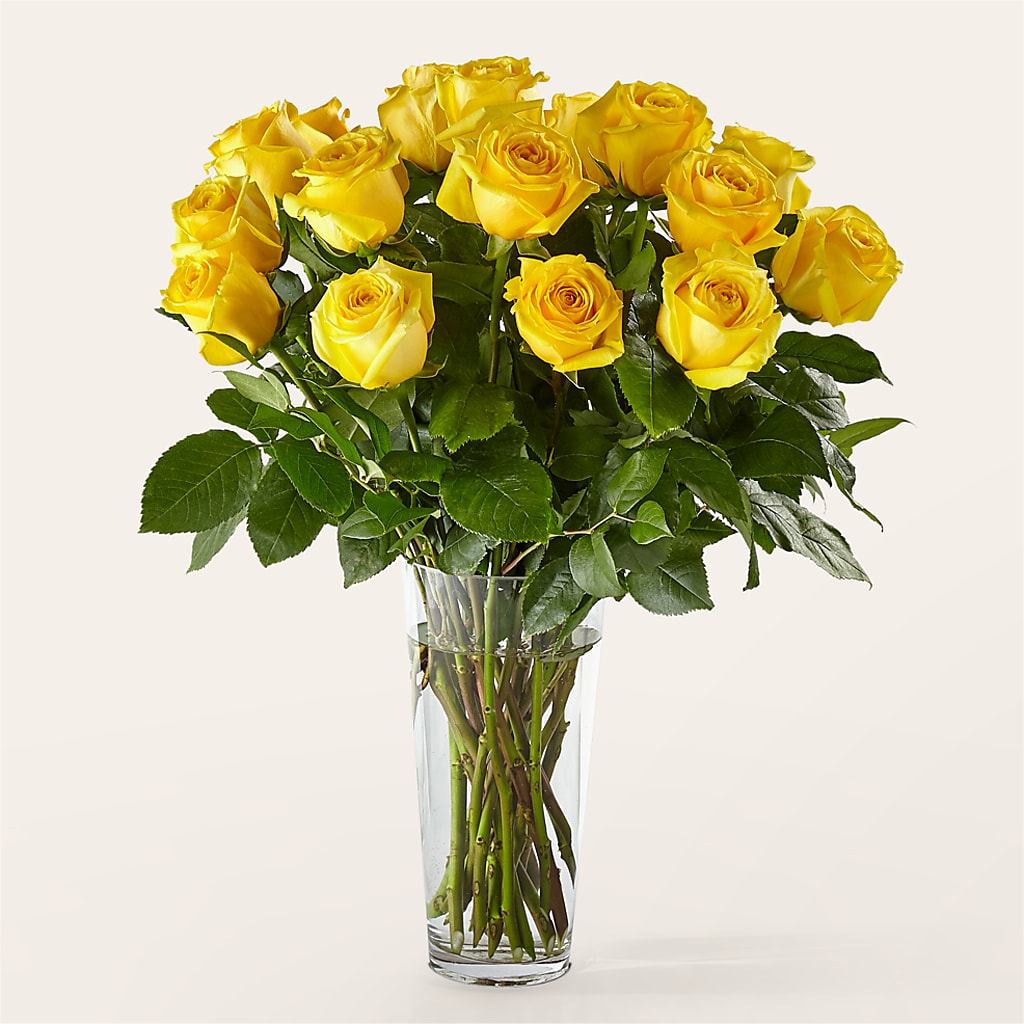 Long Stem Yellow Rose Bouquet – Green Leaf, West Springfield MA