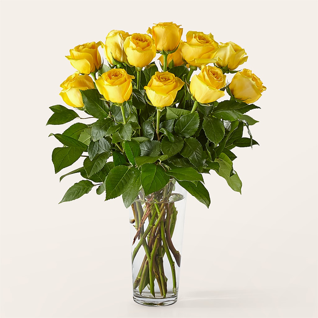 Long Stem Yellow Rose Bouquet – Green Leaf, West Springfield MA