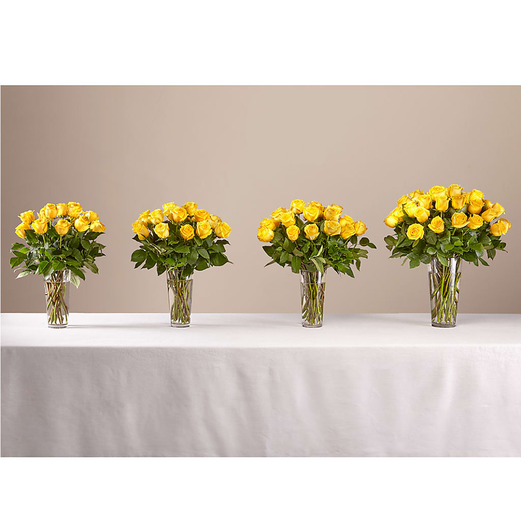 Long Stem Yellow Rose Bouquet – Green Leaf, West Springfield MA