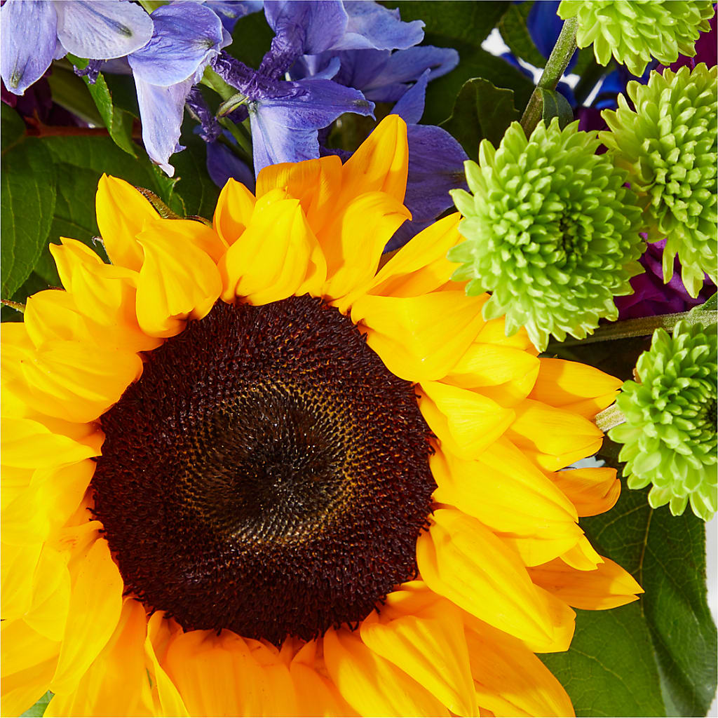 Catching Rays Bouquet – Green Leaf, West Springfield MA