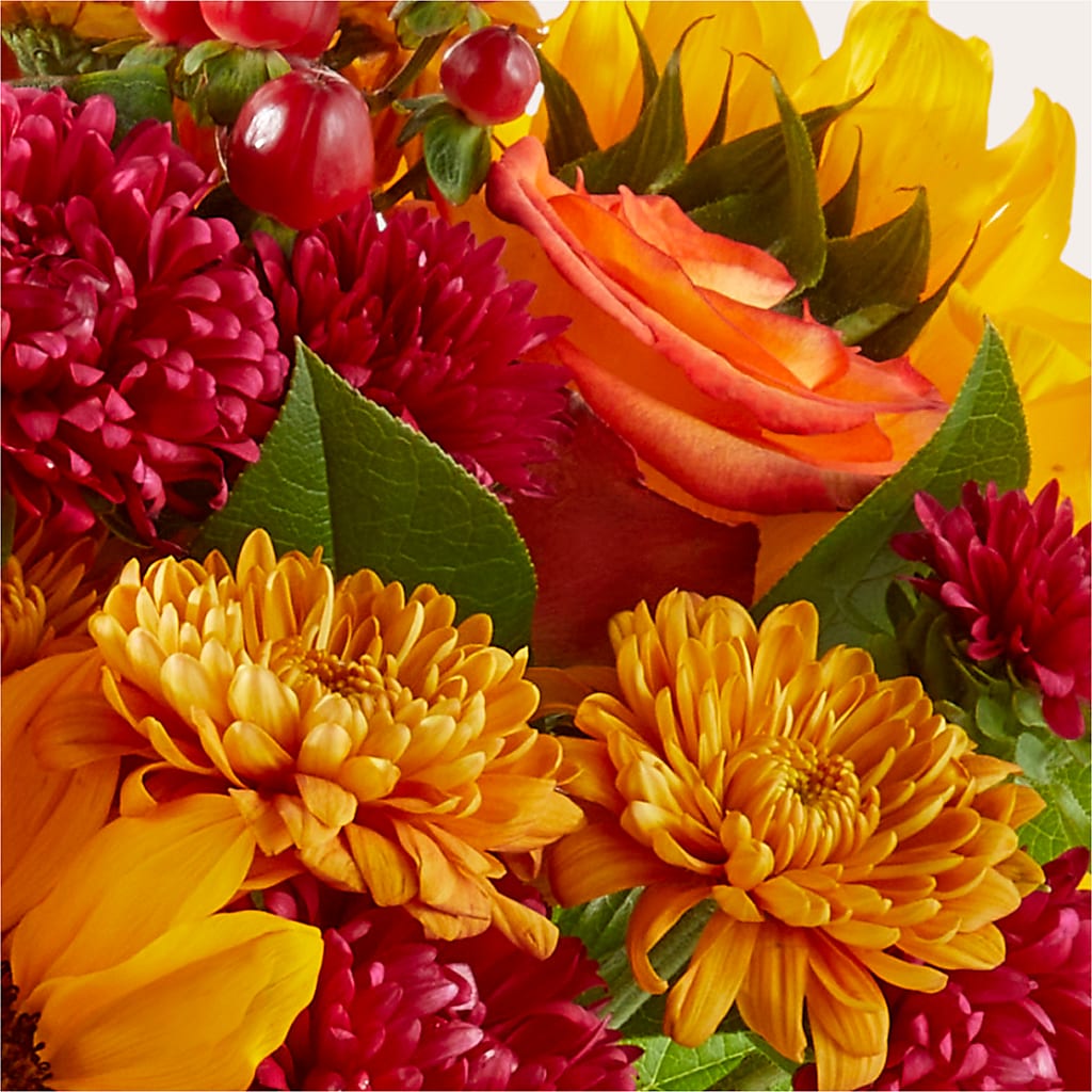 Sweater Season - A Florist Original – Green Leaf, West Springfield MA