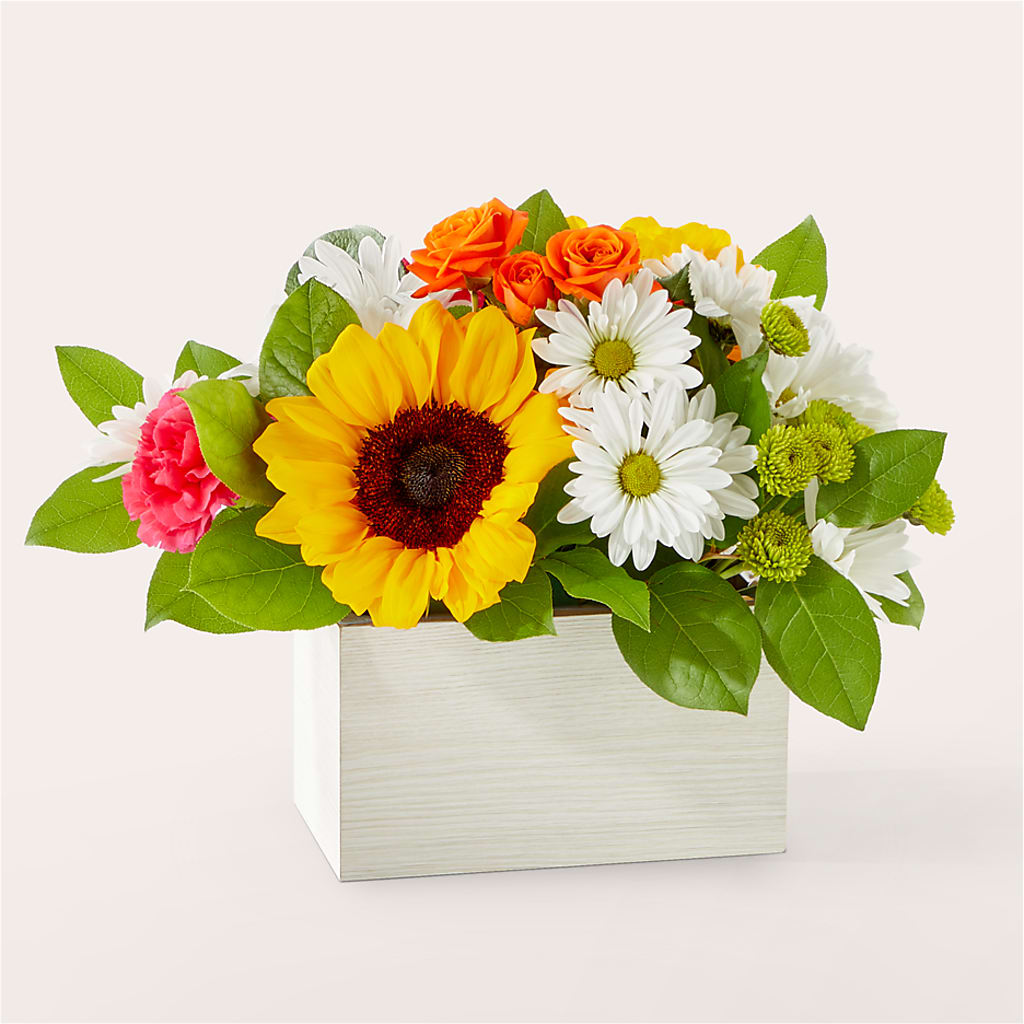 Sun-drenched Blooms Box Bouquet – Green Leaf, West Springfield MA