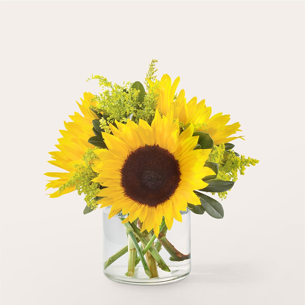 Beaming Sunflower Bouquet – Green Leaf, West Springfield MA