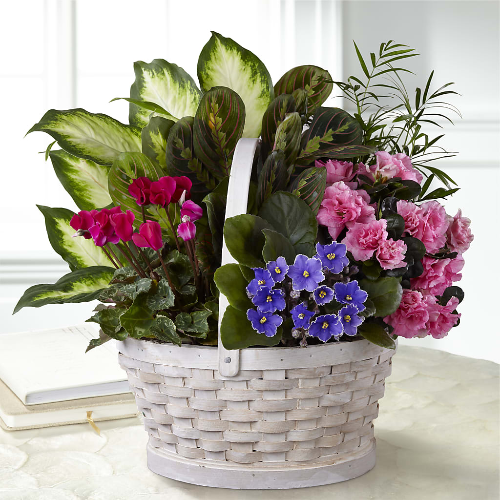 Peaceful Garden Planter – Green Leaf, West Springfield MA