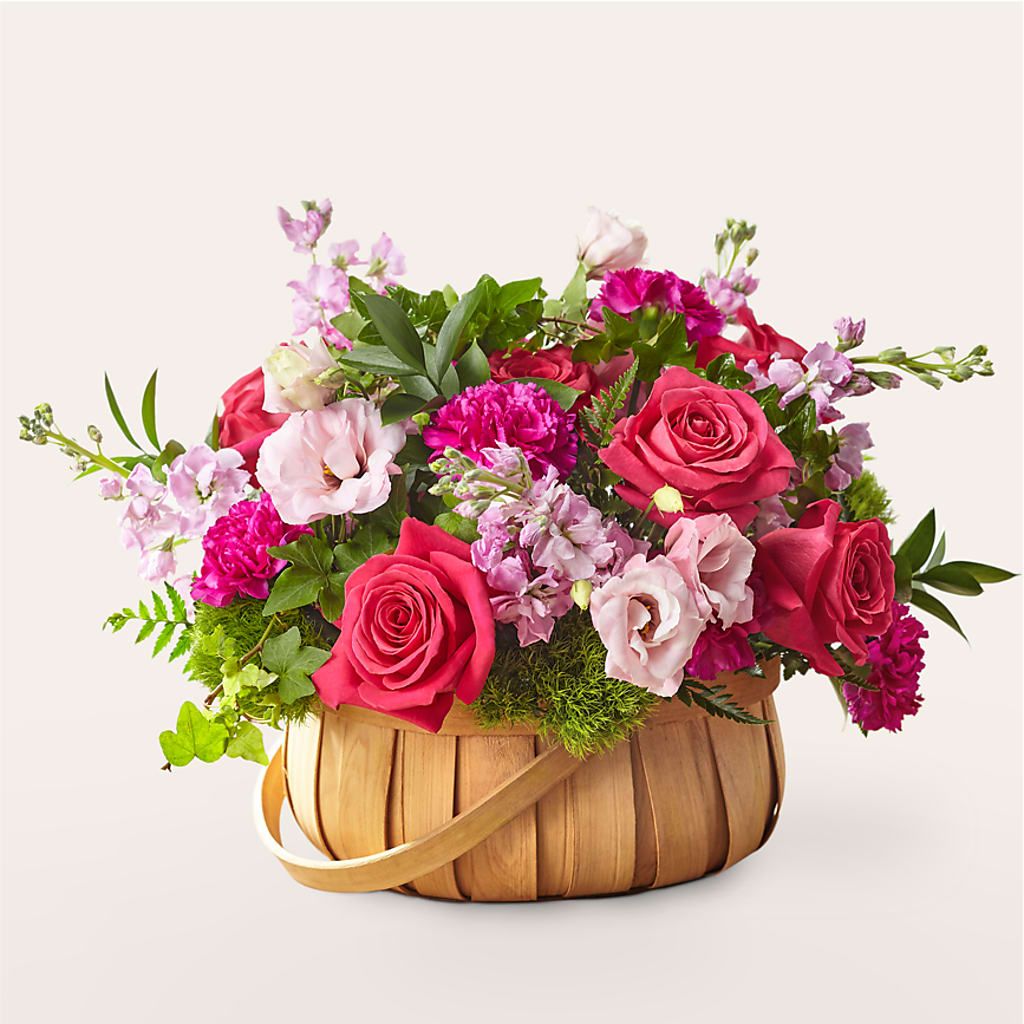 Radiance in Bloom Basket – Green Leaf, West Springfield MA