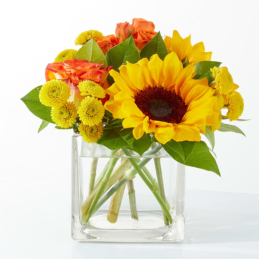Picnic in the Park Bouquet – Green Leaf, West Springfield MA