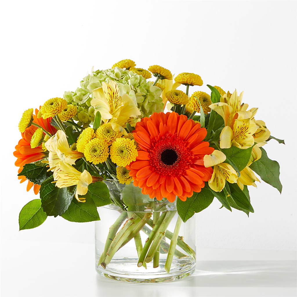 Autumn Sunshine Bouquet – Green Leaf, West Springfield MA