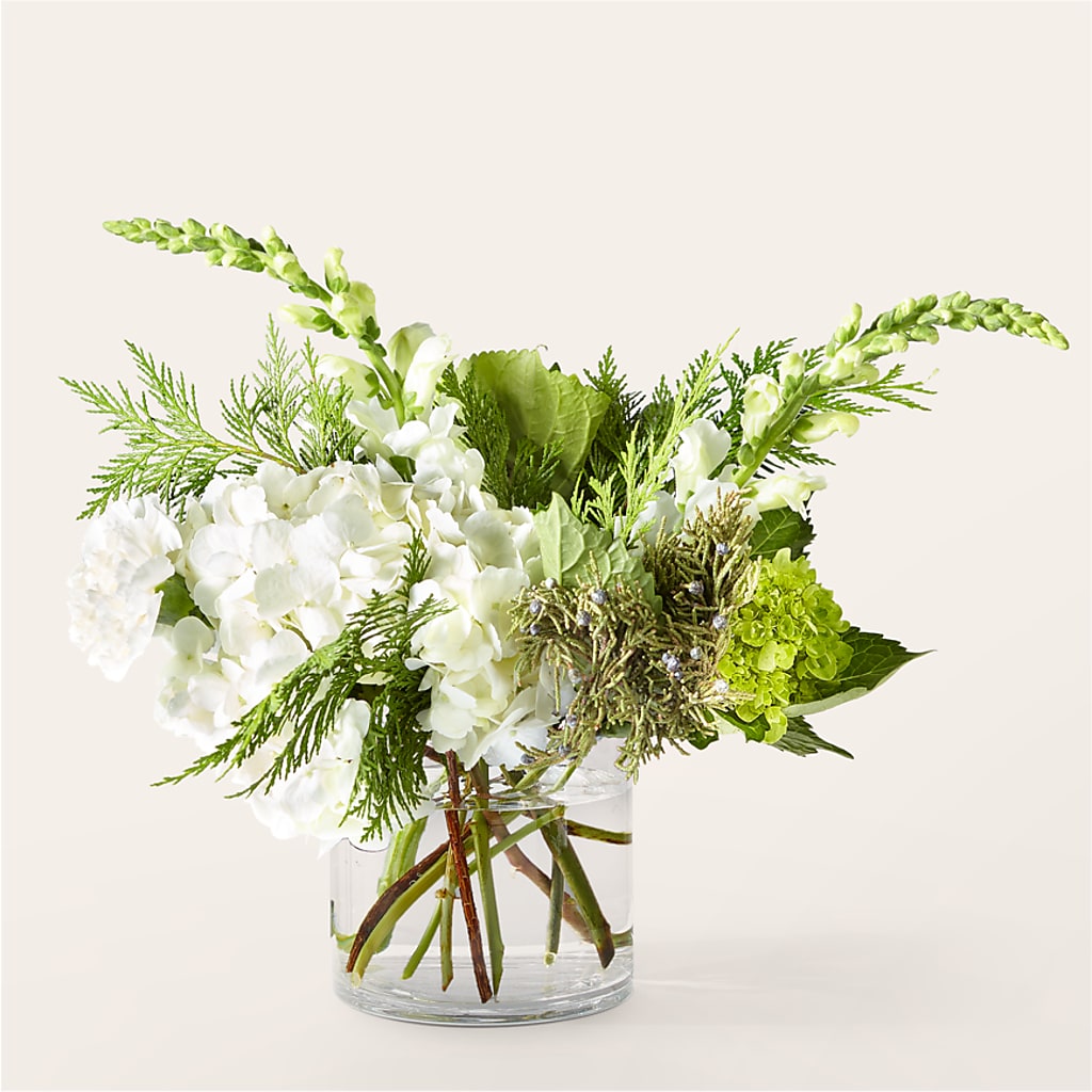 Marshmallows on Top Bouquet – Green Leaf, West Springfield MA