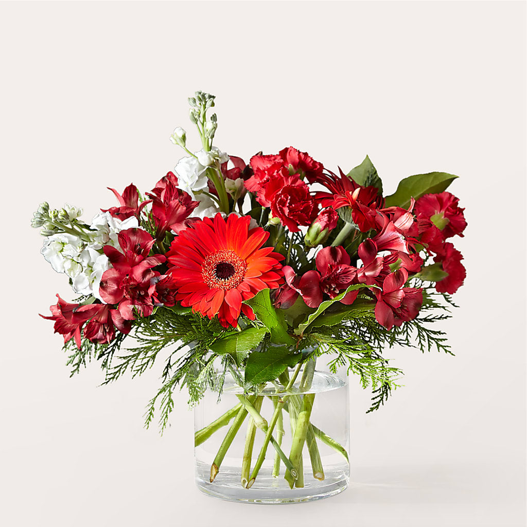 Holidaisy Bouquet – Green Leaf, West Springfield MA