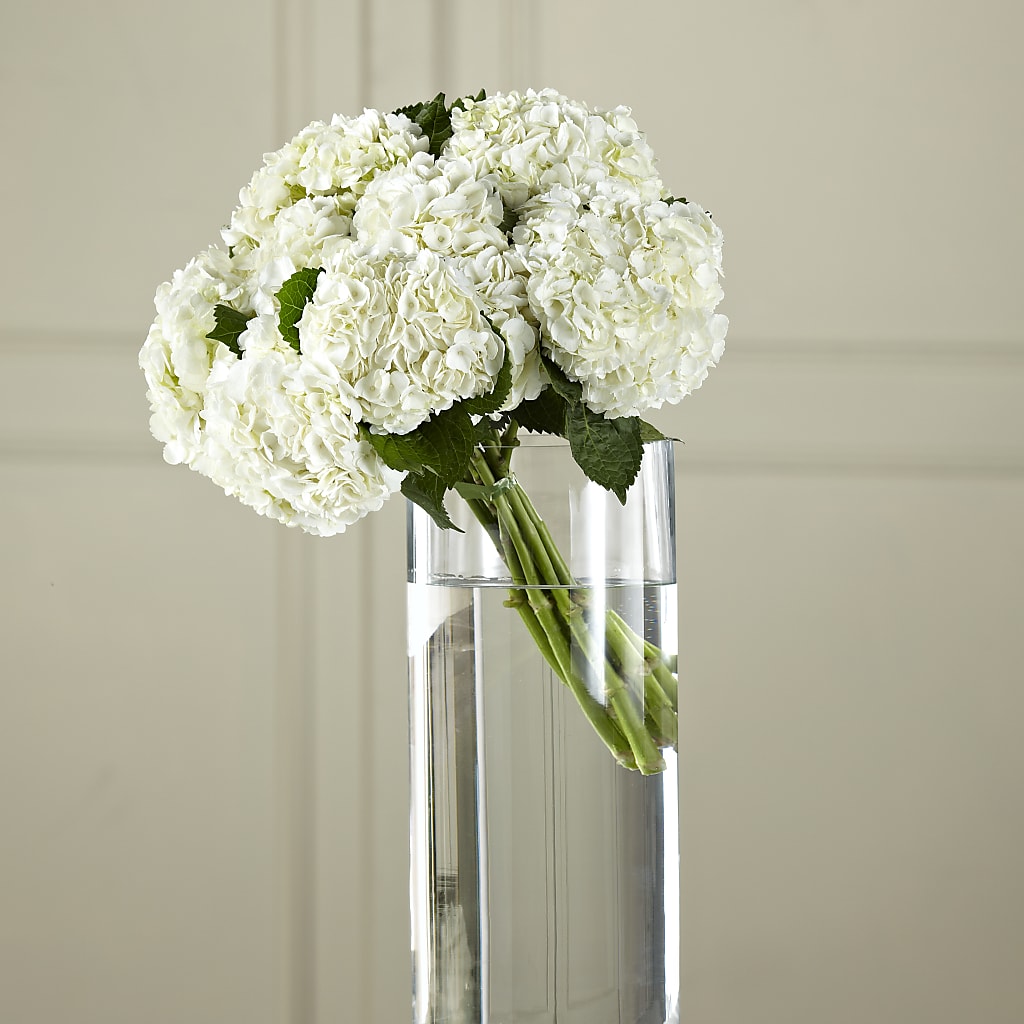 White Hydrangea Hand-Tied Bouquet – Green Leaf, West Springfield MA