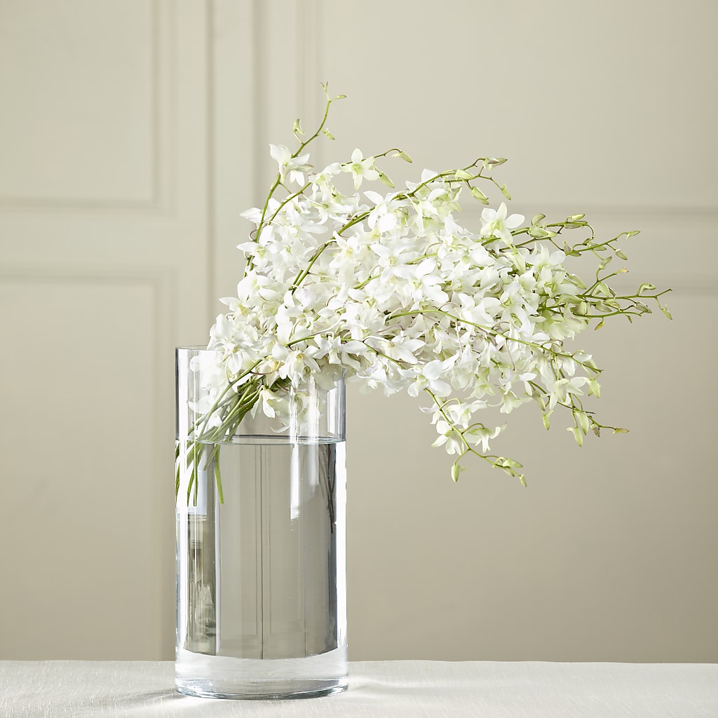 White Dendrobium Bouquet – Green Leaf, West Springfield MA