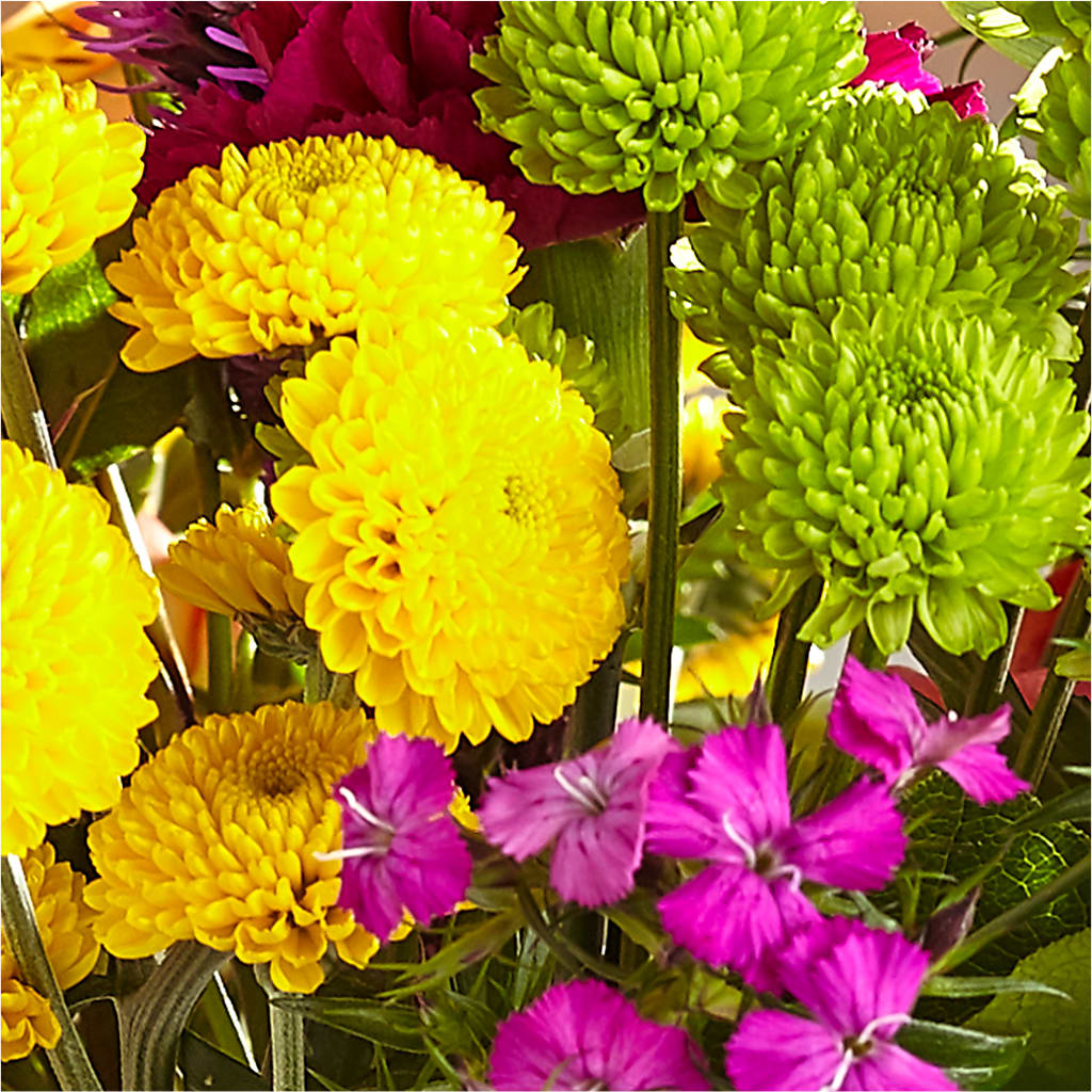 Bold & Bright – A Florist Original –  Green Leaf, West Springfield MA