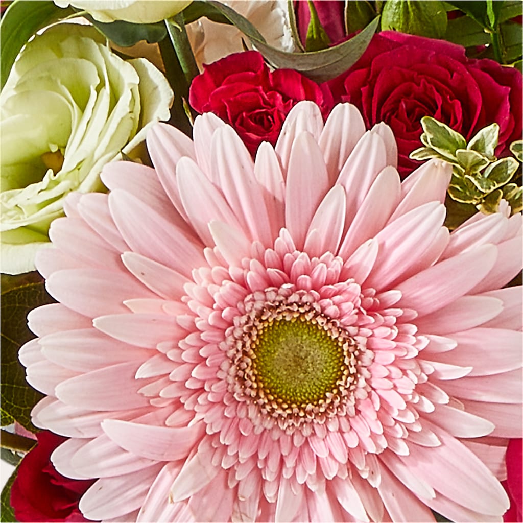 Too Cute Bouquet –  Green Leaf, West Springfield MA