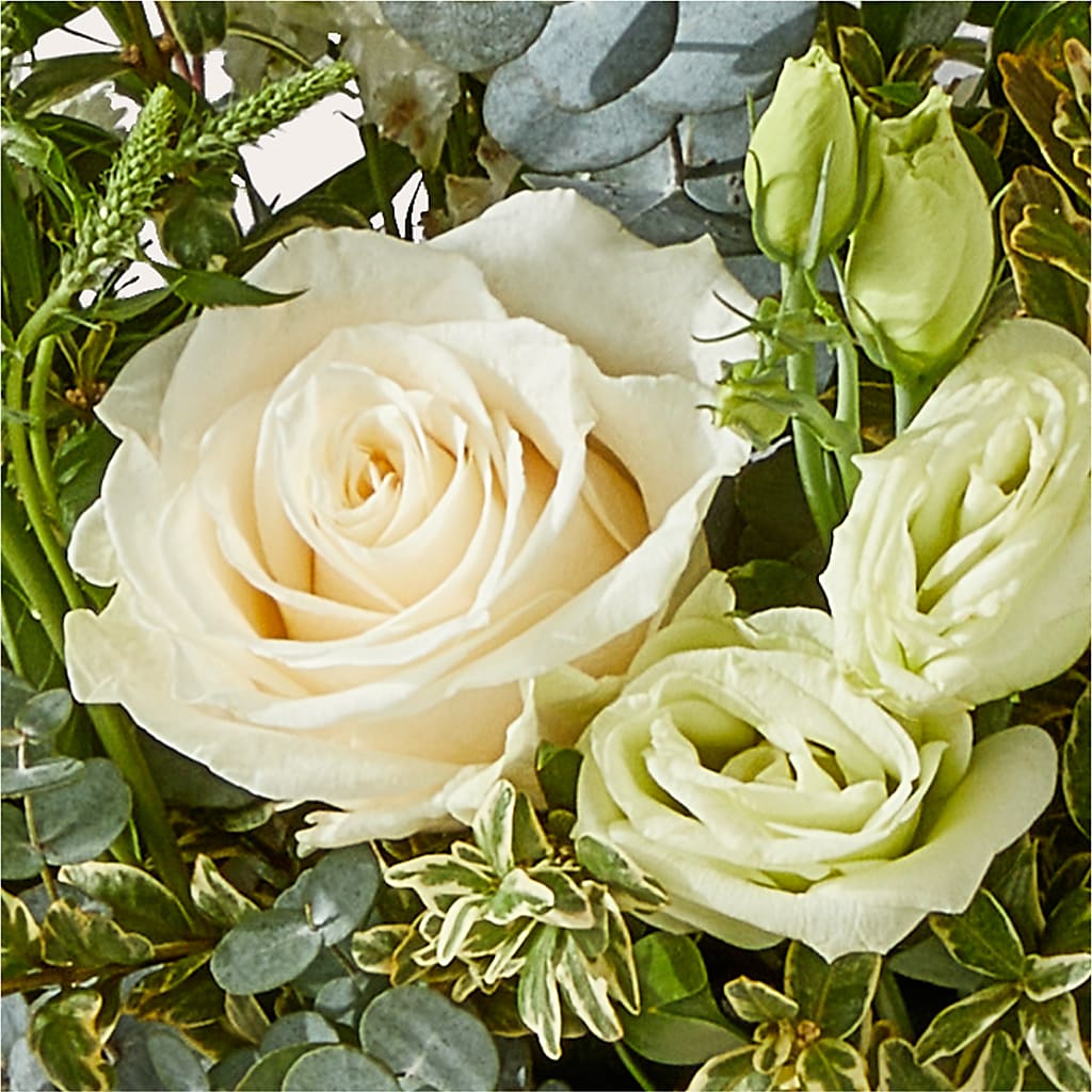 Cashmere Bouquet –  Green Leaf, West Springfield MA