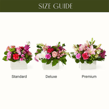 Sweetberry Box – A Florist Original –  Green Leaf, West Springfield MA