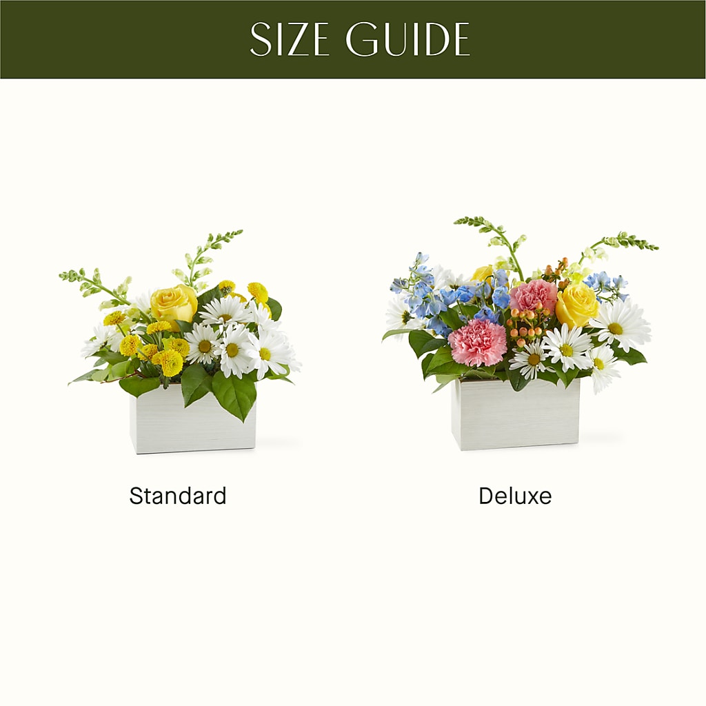 Sun Salutation Box Bouquet –  Green Leaf, West Springfield MA