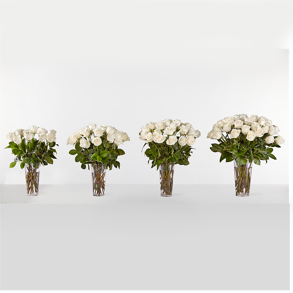 Long Stem White Rose Bouquet –  Green Leaf, West Springfield MA