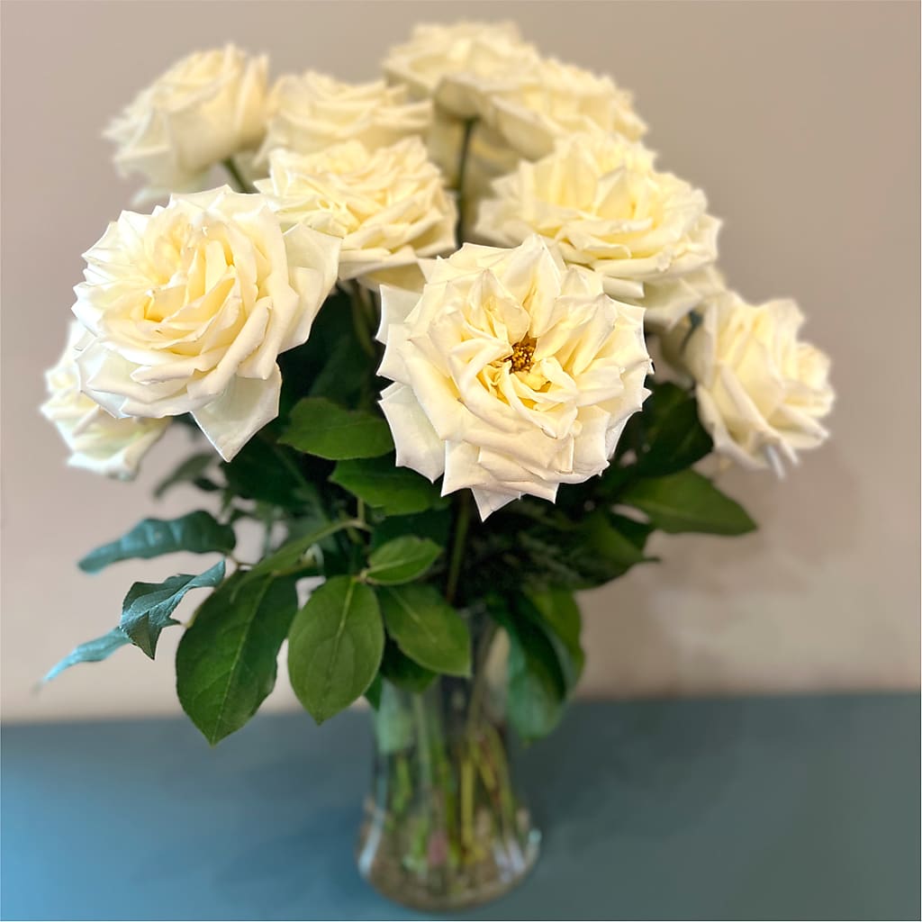 Long Stem Yellow Rose Bouquet –  Green Leaf, West Springfield MA