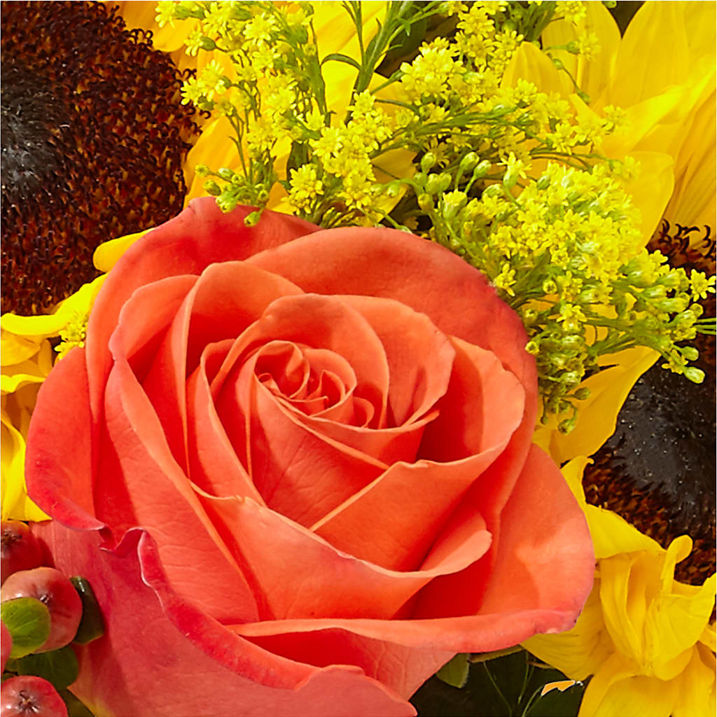 Pick of the Patch Pumpkin Bouquet –  Green Leaf, West Springfield MA
