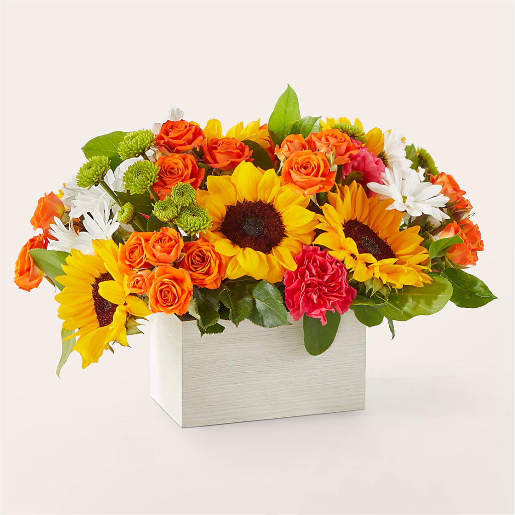 Sun-drenched Blooms Box Bouquet –  Green Leaf, West Springfield MA