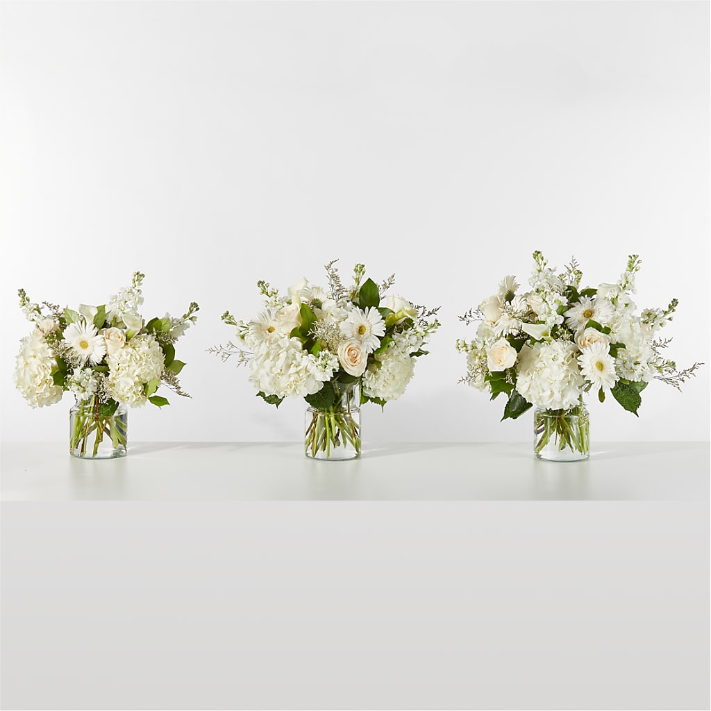 Sun-drenched Blooms Box Bouquet –  Green Leaf, West Springfield MA