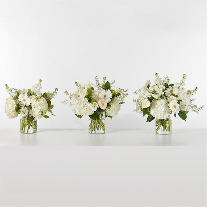 Sun-drenched Blooms Box Bouquet –  Green Leaf, West Springfield MA