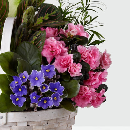 Peaceful Garden Planter –  Green Leaf, West Springfield MA