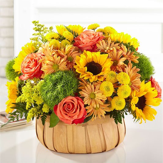 Harvest Sunflower Basket –  Green Leaf, West Springfield MA