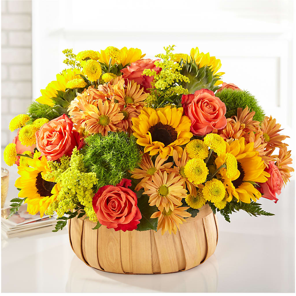 Harvest Sunflower Basket –  Green Leaf, West Springfield MA