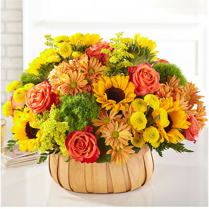 Harvest Sunflower Basket –  Green Leaf, West Springfield MA