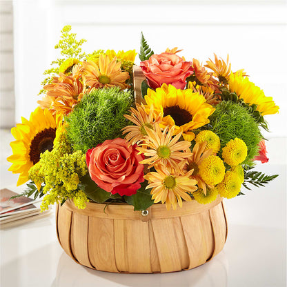 Harvest Sunflower Basket –  Green Leaf, West Springfield MA