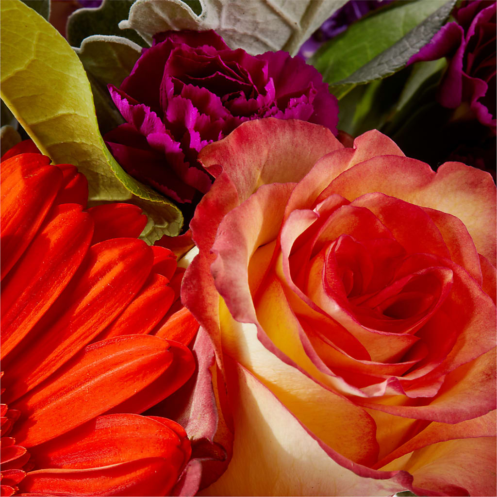 Sangria Bouquet –  Green Leaf, West Springfield MA