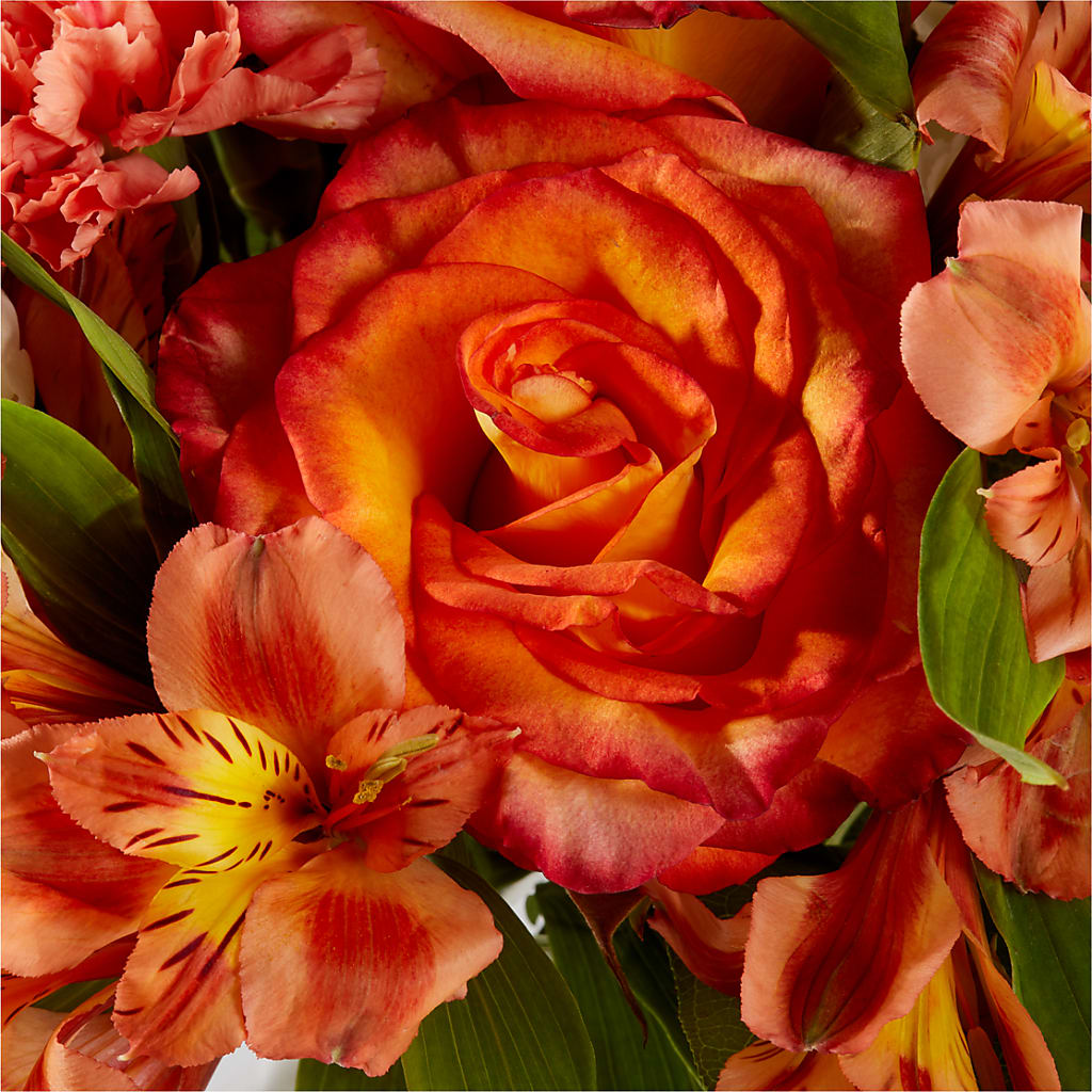 Apricot Glow Bouquet –  Green Leaf, West Springfield MA
