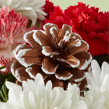 Candy Cane Lane Bouquet –  Green Leaf, West Springfield MA