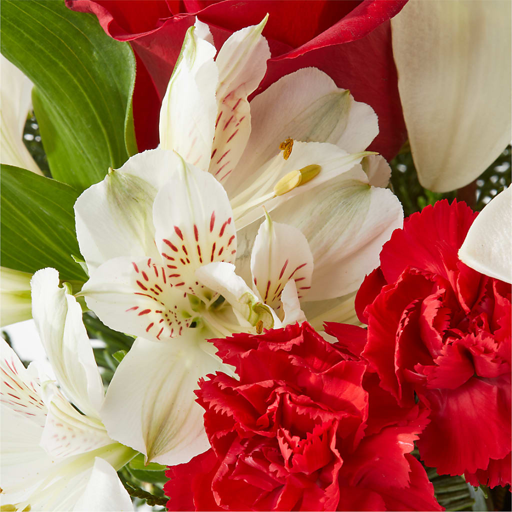 Holiday Season Bouquet –  Green Leaf, West Springfield MA