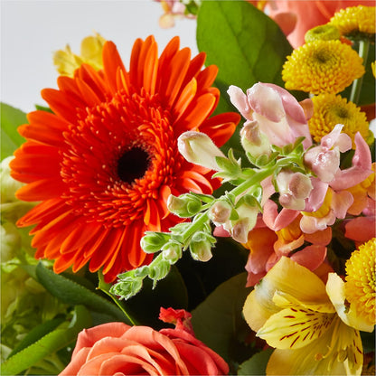 Autumn Sunshine Bouquet –  Green Leaf, West Springfield MA