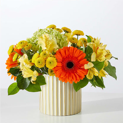 Autumn Sunshine Bouquet with Ivory Vase –  Green Leaf, West Springfield MA