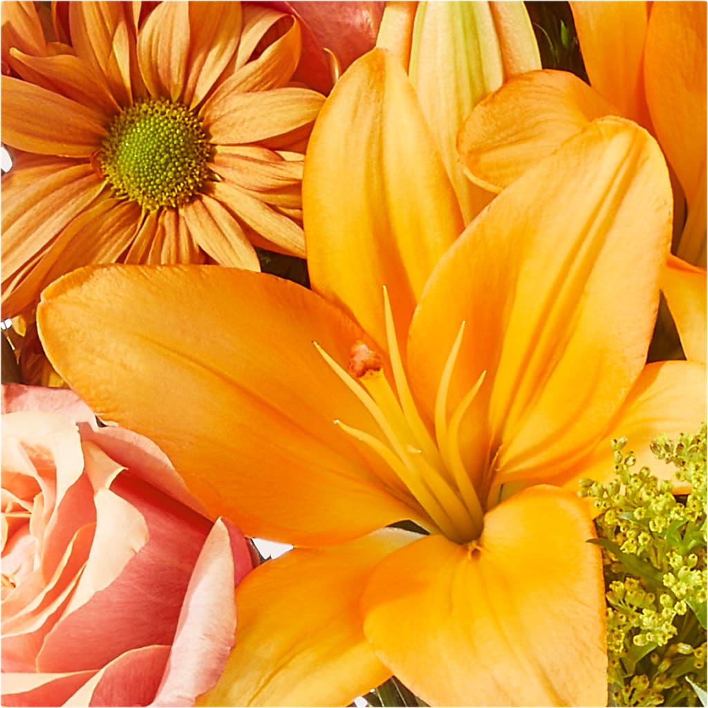 Harvest Hayride Bouquet –  Green Leaf, West Springfield MA