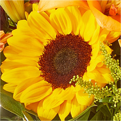 Seasons Change Bouquet –  Green Leaf, West Springfield MA