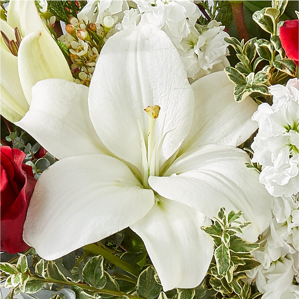 Twinkle Lights Bouquet –  Green Leaf, West Springfield MA