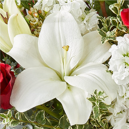 Twinkle Lights Bouquet –  Green Leaf, West Springfield MA