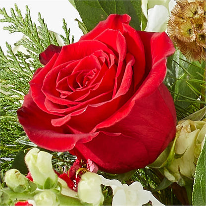 Deck the Halls Bouquet –  Green Leaf, West Springfield MA
