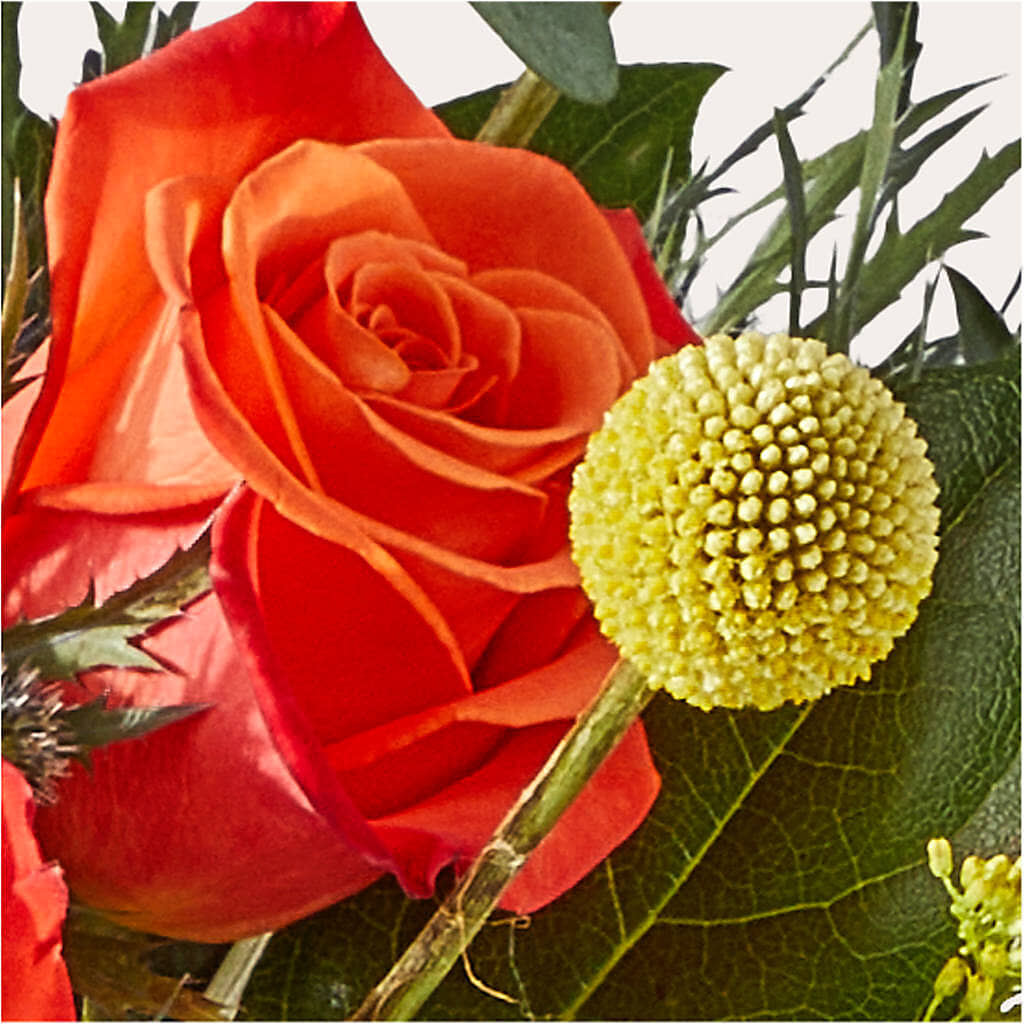 Disco Bouquet –  Green Leaf, West Springfield MA