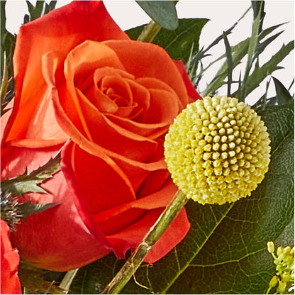 Disco Bouquet –  Green Leaf, West Springfield MA