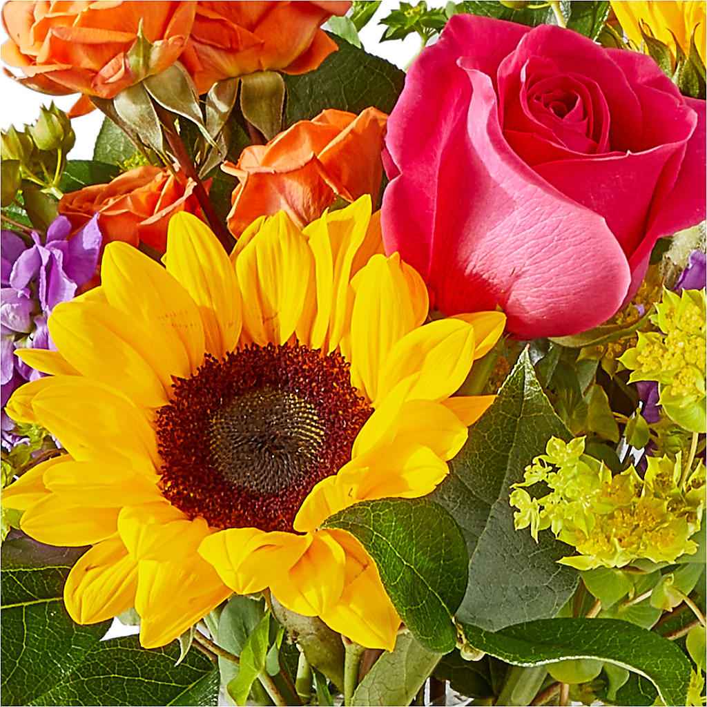 Vibrant Greetings Bouquet –  Green Leaf, West Springfield MA